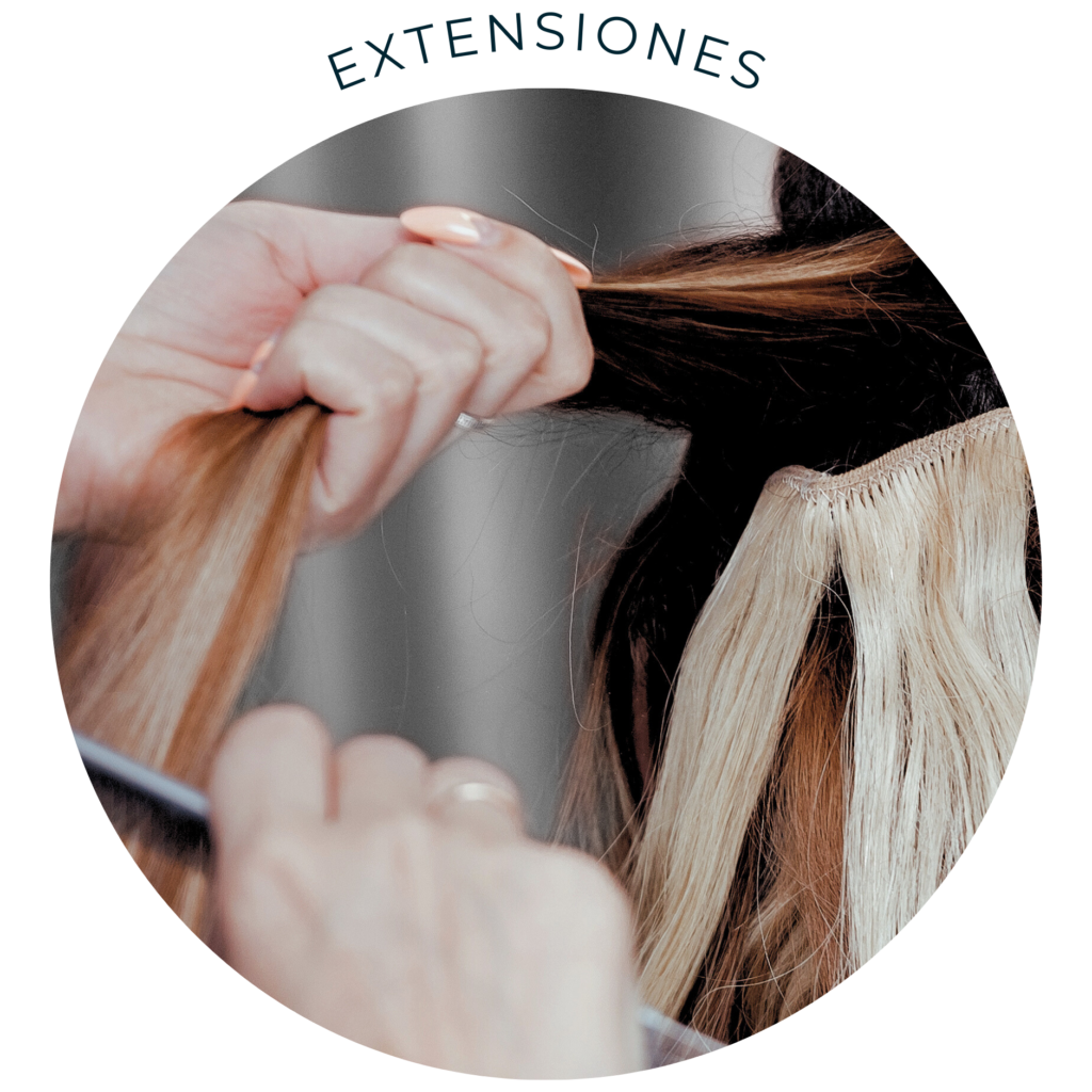 Servicios Extensiones